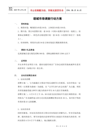 诸城市场调查行动方案