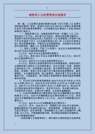 城管局三公经费管理自查报告