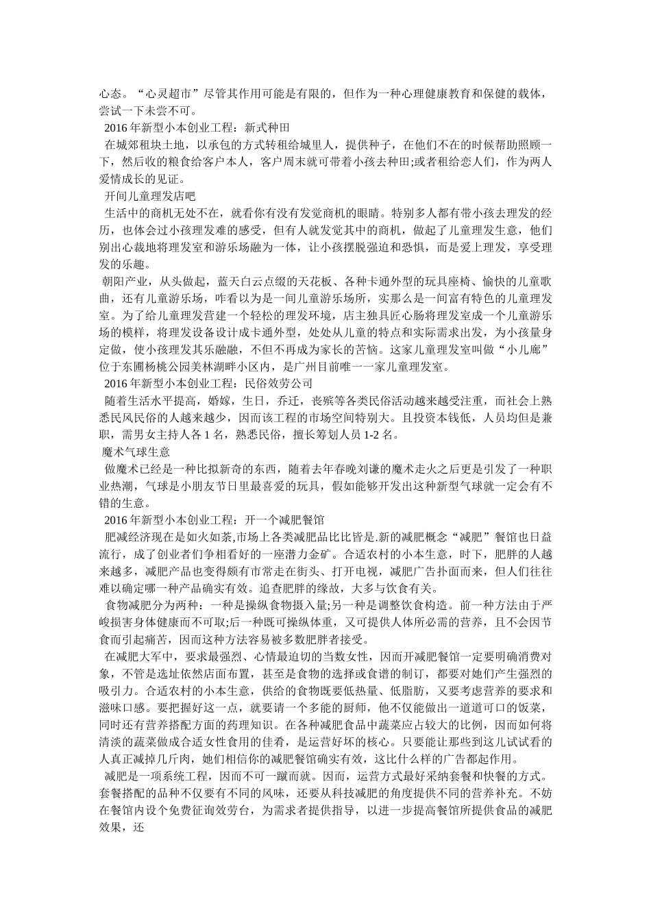 中小投资项目 _第3页