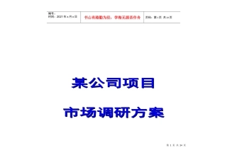 某公司项目市场调研方案探析