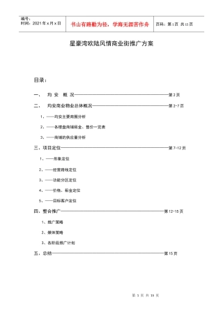 某风情商业街营销推广方案