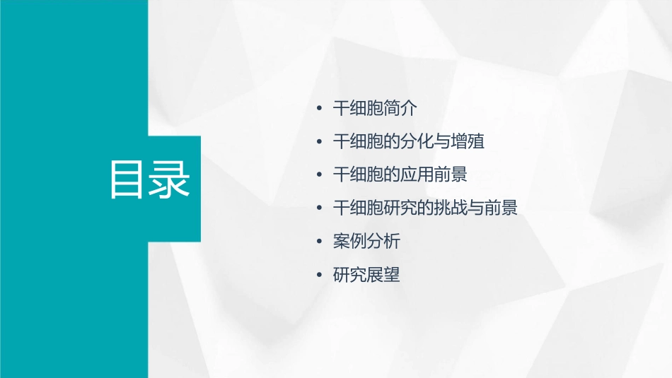 干细胞的发展前景张辙课件_第2页