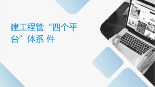 建设工程管理“四个平台”体系课件