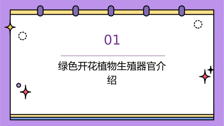绿色开花植物的生殖课件_第3页