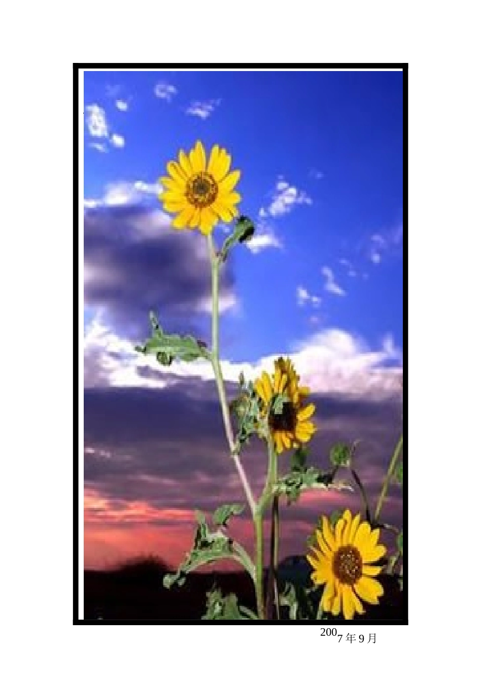 教师教育业绩综合评价方案_第1页