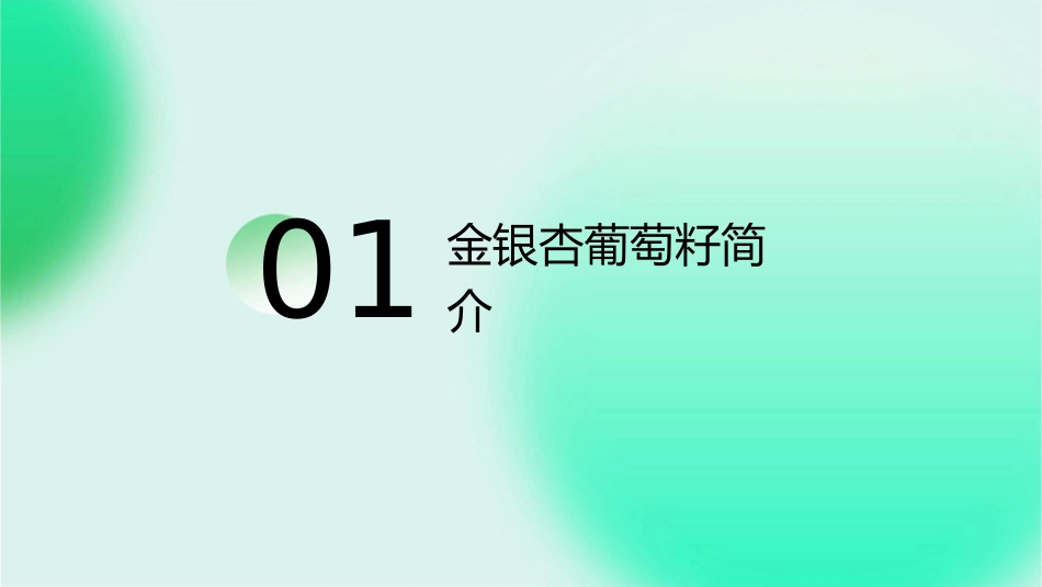 金银杏葡萄籽课件_第3页