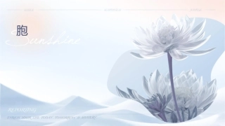 恶性组织细胞病通用课件