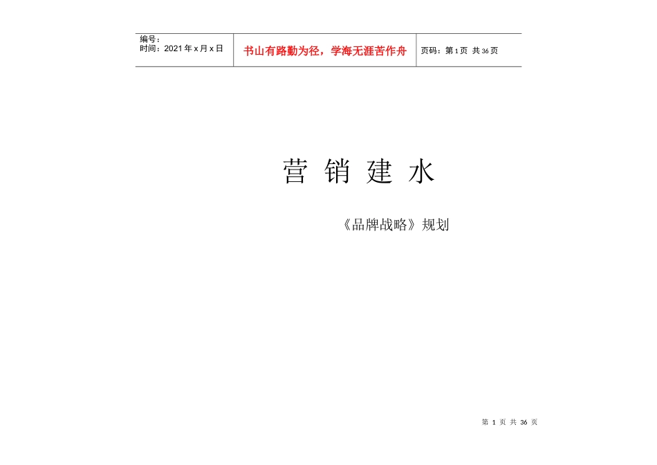 营销建水《品牌战略》规划_第1页