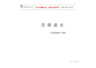 营销建水《品牌战略》规划
