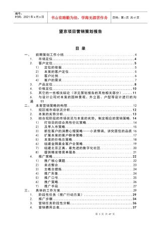 望京项目营销策划报告