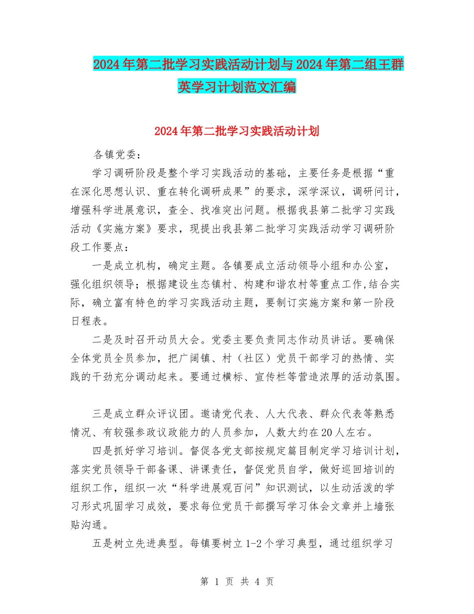 2024年第二批学习实践活动计划与2024年第二组王群英学习计划范文汇编_第1页