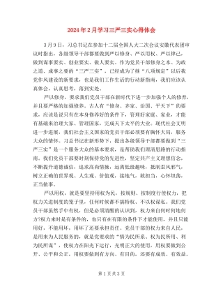 2024年2月学习三严三实心得体会