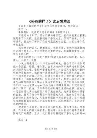 《骆驼的样子》读后感精选