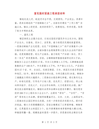 富民强村固基工程典型材料