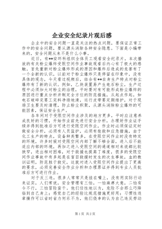 企业安全纪录片观后感