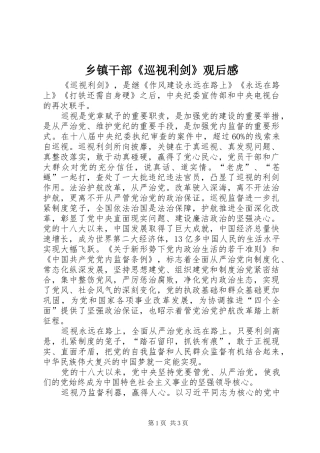 乡镇干部《巡视利剑》观后感
