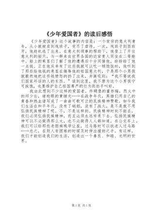 《少年爱国者》的读后感悟