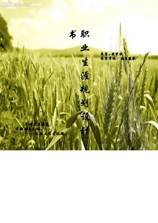 职业生涯规划设计书)