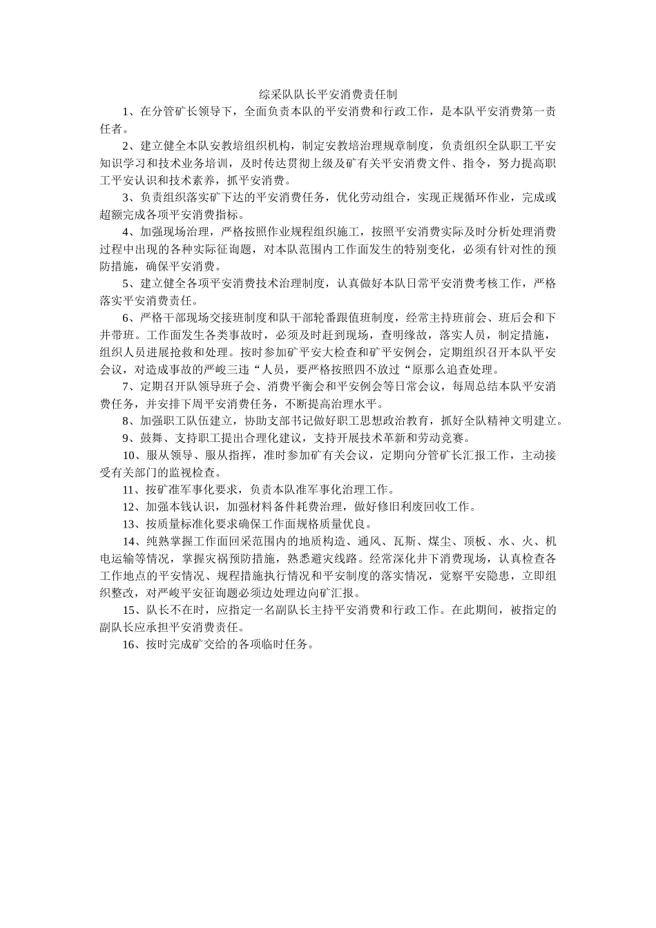 综采队ۥ队长安全生产责任制精选 _第1页