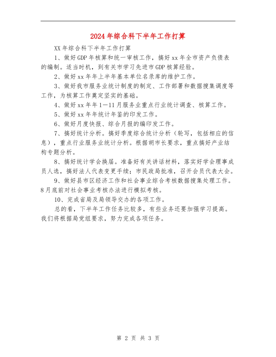 2024年综合科下半年工作打算_第2页