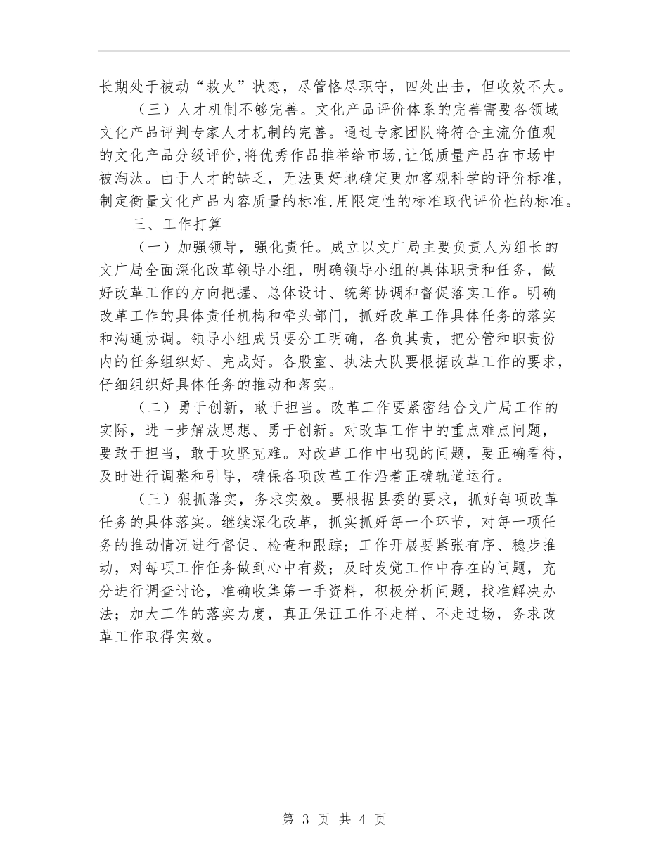 文广局2024年深化体制改革总结_第3页