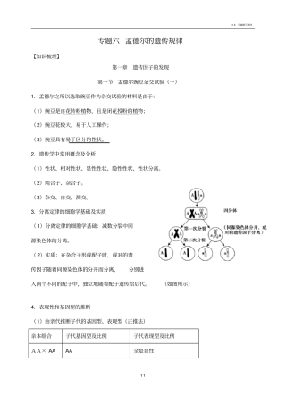 学业水平考试生物复习专题六孟德尔的遗传规律