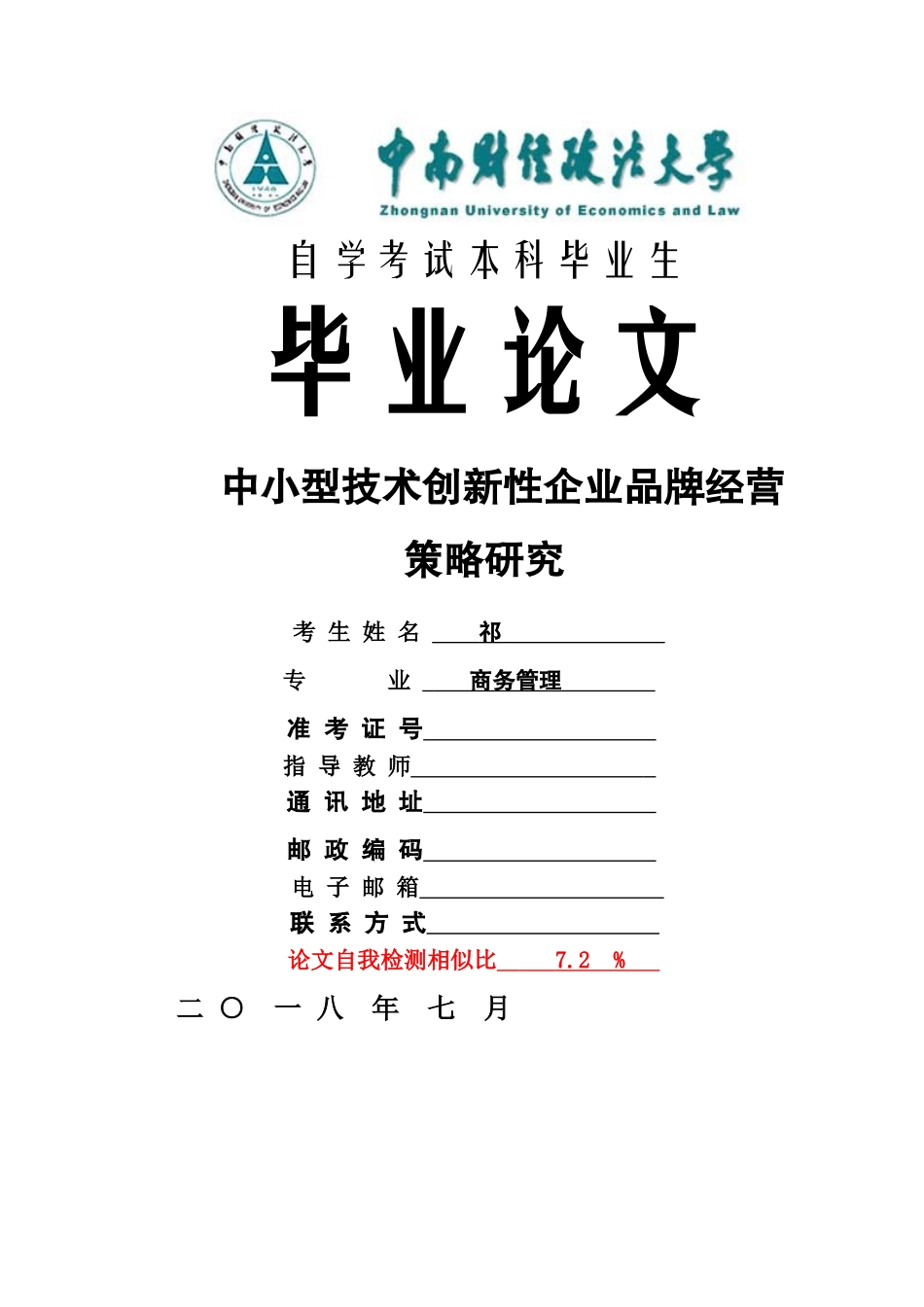 中小型技术创新性企业品牌经营策略研究 _第1页