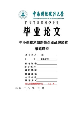 中小型技术创新性企业品牌经营策略研究 