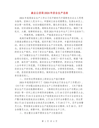 森业公安局2024年安全生产总结