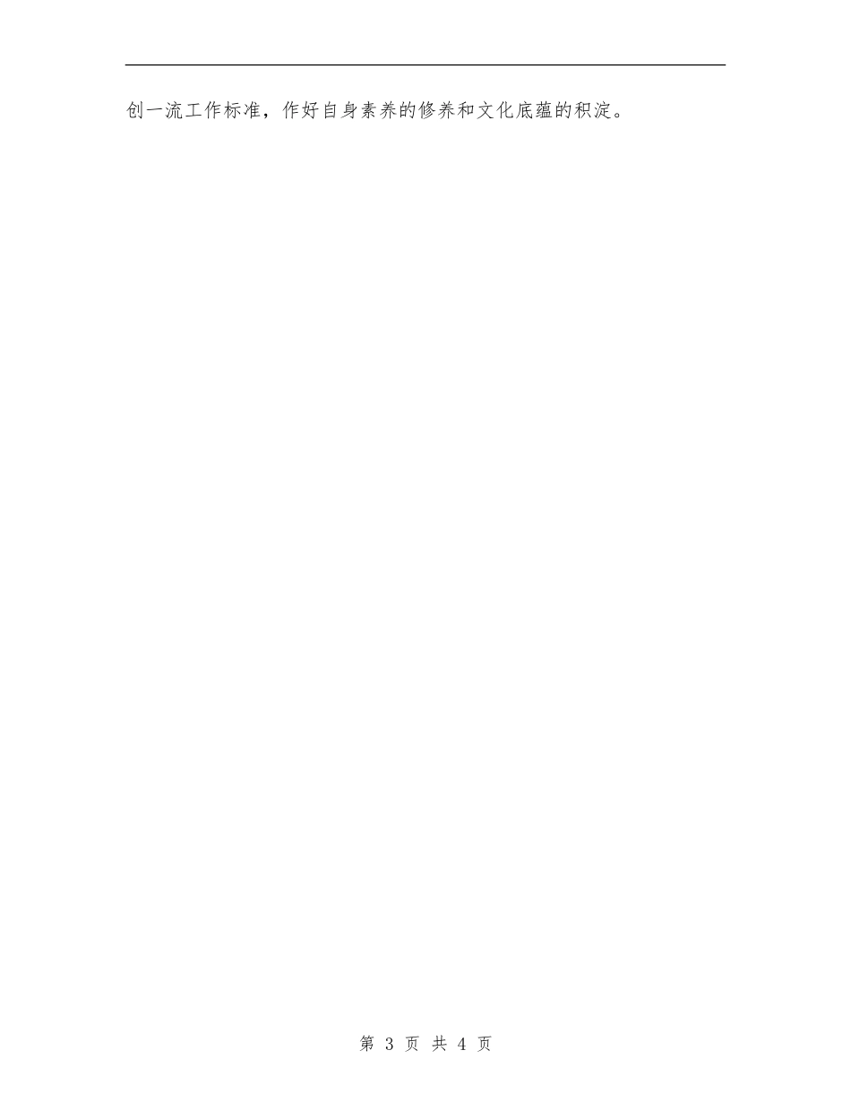 2024审计部下半年工作计划_第3页