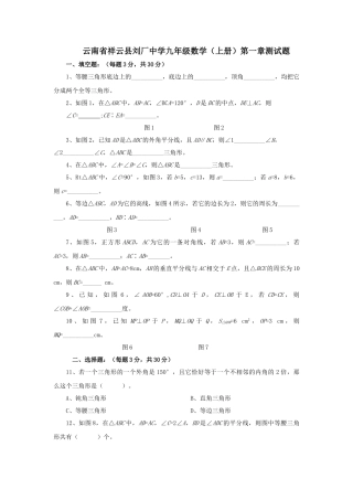 云南祥云刘厂九上第一章测试题 