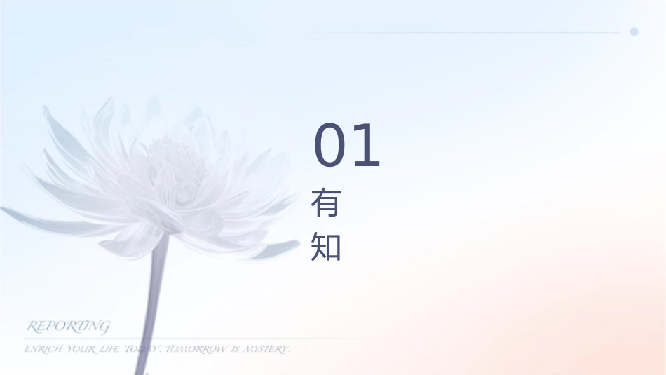 有创动脉压监测波形分析护理课件_第3页