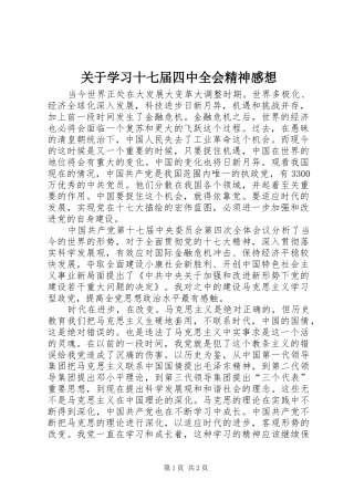 关于学习十七届四中全会精神感想
