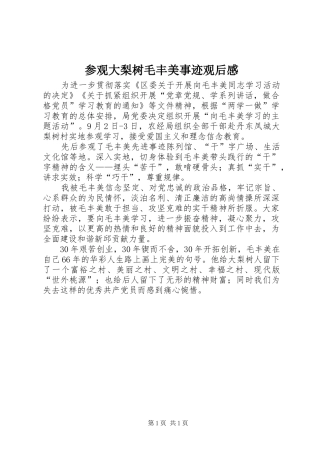 参观大梨树毛丰美事迹观后感