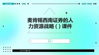 麦肯锡西南证券的人力资源战略( )课件