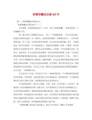 智慧背囊读后感400字 