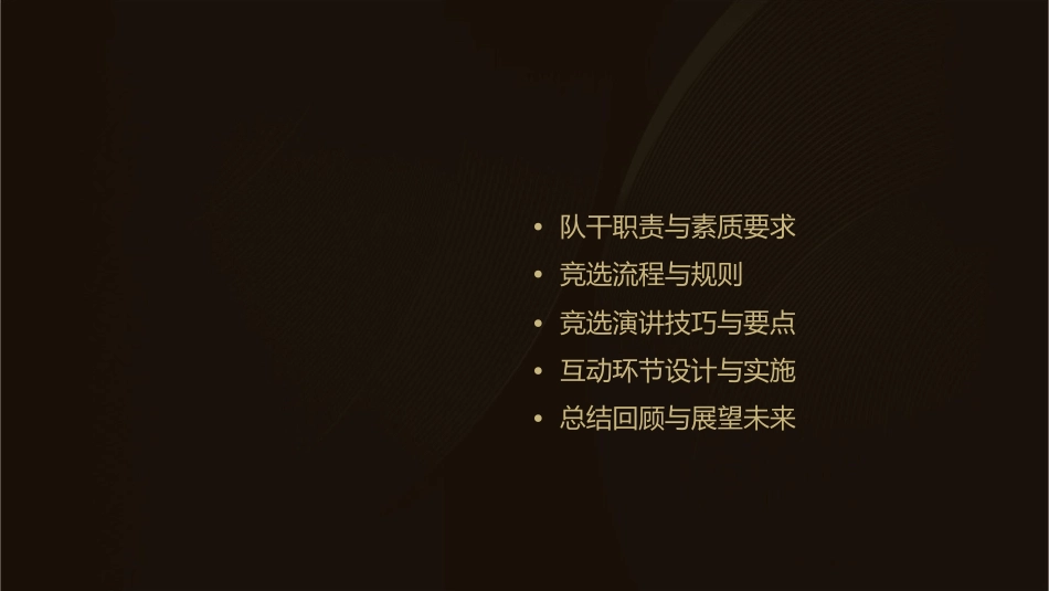 小学生队干竞选课件_第2页