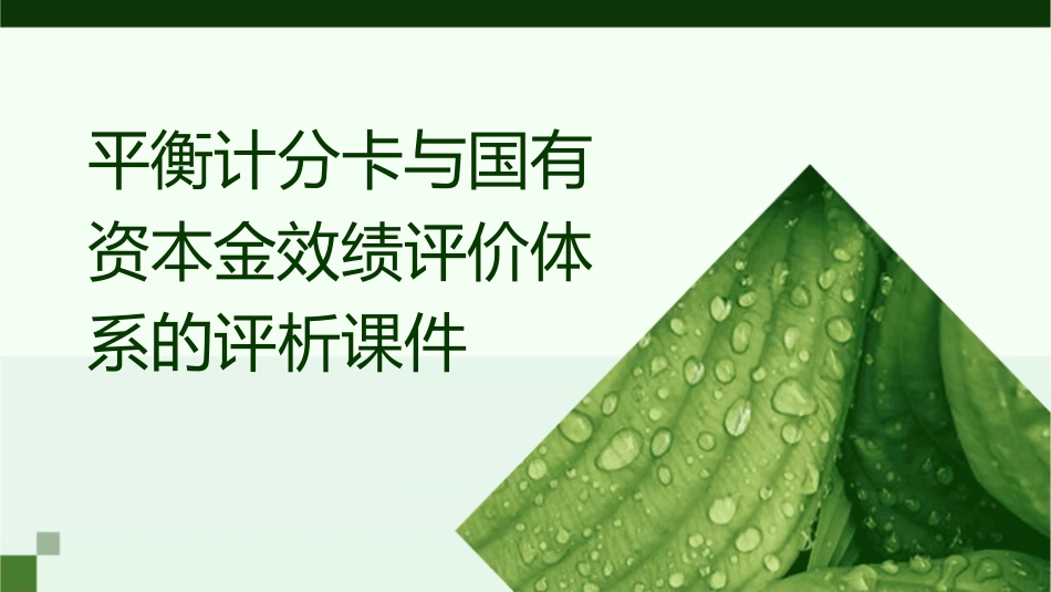 平衡计分卡与国有资本金效绩评价体系的评析课件_第1页