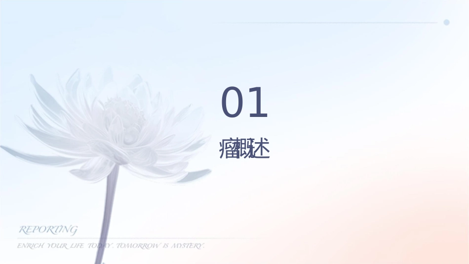 病理学 肿瘤版本护理课件_第3页