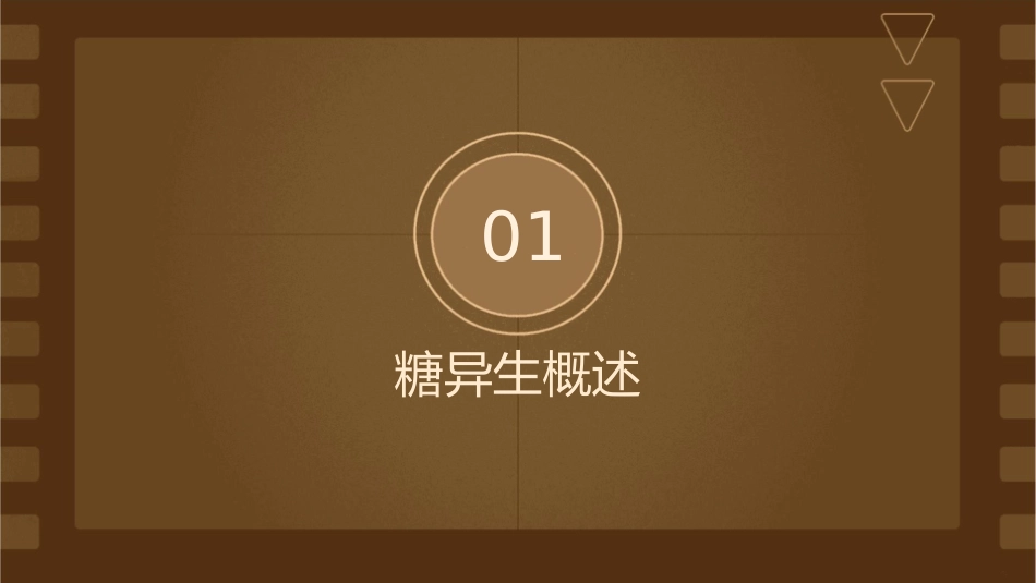 糖异生及糖原合成课件_第3页