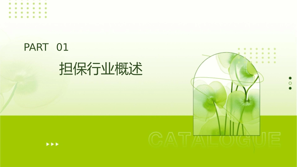 担保行业基本知识课件_第3页