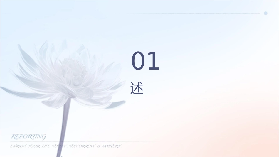 续保提升方案课件_第3页