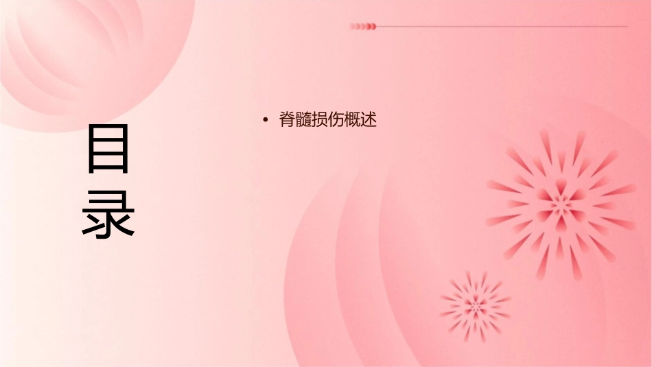 脊髓损伤查房护理课件_第2页