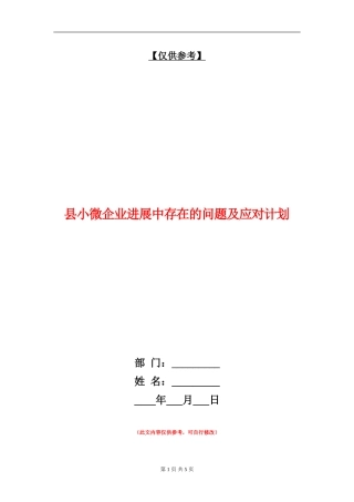 县小微企业发展中存在的问题及应对计划