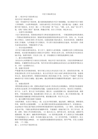 中层干部管理办法 