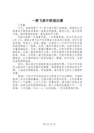 一桥飞架中欧观后感