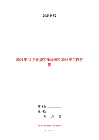 2024年11月团委工作总结和2024年工作打算【最新版】