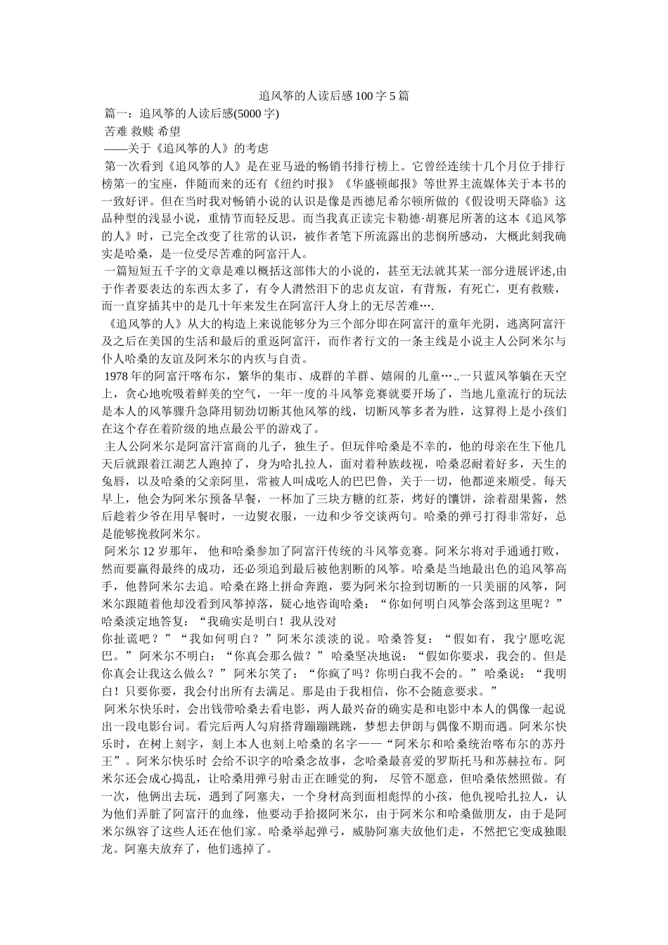 追风筝的人读后感100字5篇 _第1页