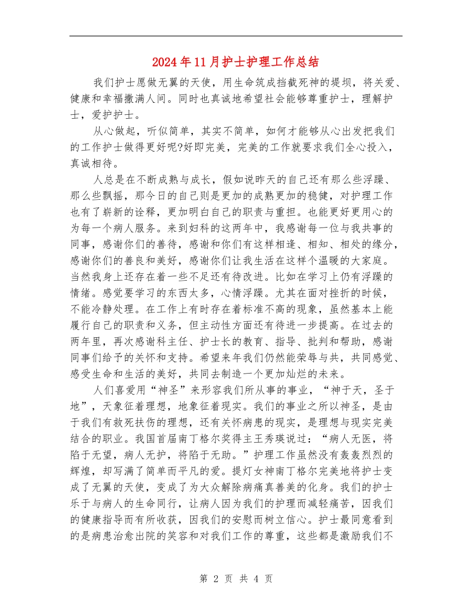 2024年11月护士护理工作总结【新版】_第2页