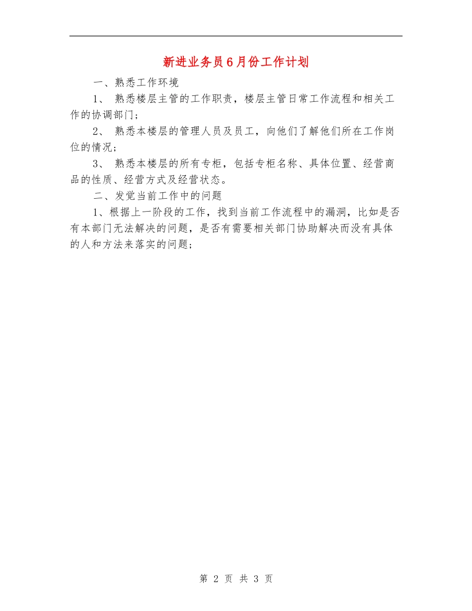 新进业务员6月份工作计划_第2页